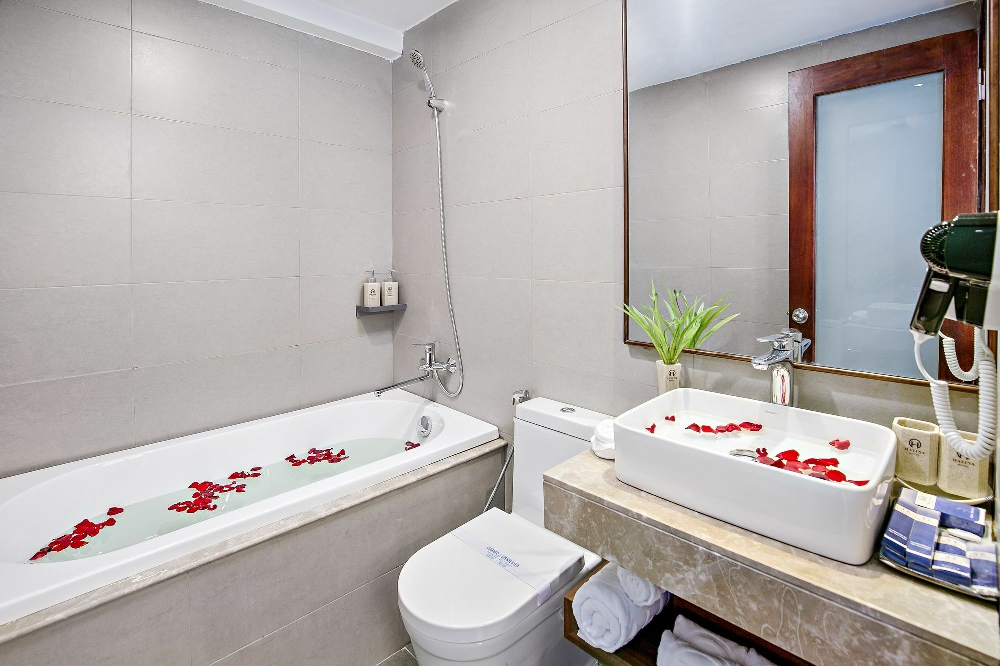 Và Căn Hộ Halina Khách sạn